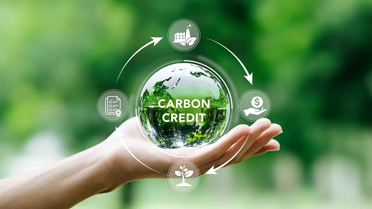 Carbon Credit Sharing Program